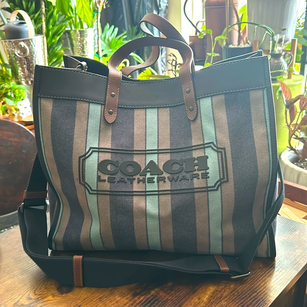 Field Tote 40 in Organic Cotton Canvas in Ocean Multi-Color w/ Storage Bag